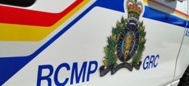 Two Ottawa men charged in terror probe : RCMP