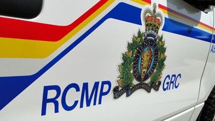 Two Ottawa men charged in terror probe : RCMP