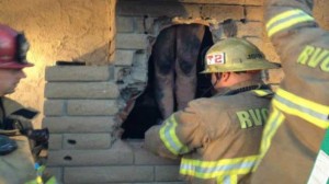 Woman Stuck In Chimney - Photo : Crews rescue naked woman trapped in ex-lover's SoCal chimney