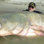 280 Pound Catfish : Man catches giant cannibal catfish (Video - Photo)