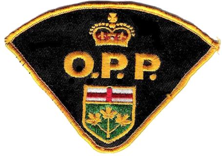 Arrest Made After Flight From Police On Snowmobile : OPP