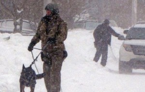 Canada Shooting Plot : Geneva woman linked to Halifax, Nova Scotia mass shooting plot (Video)