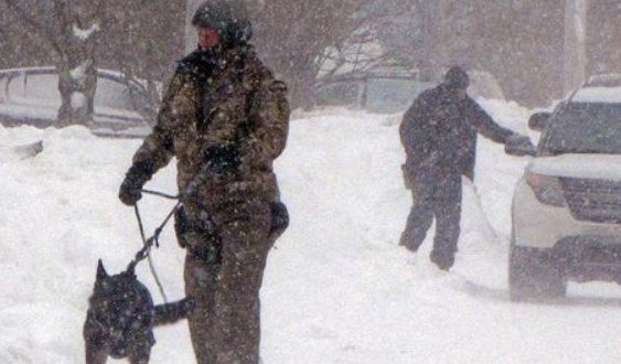 Canada Shooting Plot Geneva woman linked to Halifax, Nova Scotia mass shooting plot (Video) Canada Shooting Plot Geneva woman linked to Halifax, Nova Scotia mass shooting plot (Video)