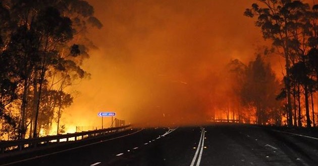 Climate change drove Australia’s record hot year, says report