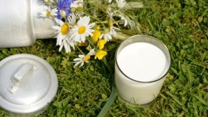Does milk really do a body good? See what science says