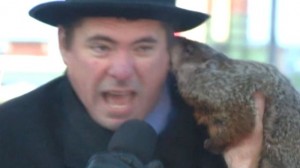 Groundhog Bites Mayor in Sun Prairie, Wis. (Video)