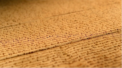 Magna Carta Copies : Exclusive access to the historic text