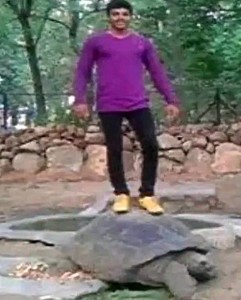 Man Atop Tortoise Arrested : Fazal Shaik faces jail after standing on Galapagos tortoise for Facebook likes