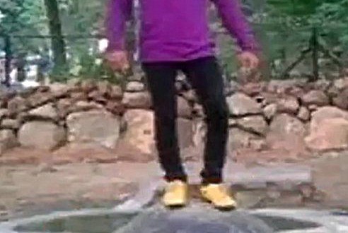 Man Atop Tortoise Arrested : Fazal Shaik faces jail after standing on Galapagos tortoise for Facebook likes Man Atop Tortoise Arrested : Fazal Shaik faces jail after standing on Galapagos tortoise for Facebook likes