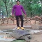 Man Atop Tortoise Arrested : Fazal Shaik faces jail after standing on Galapagos tortoise for Facebook likes