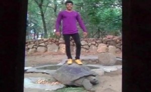 Man Atop Tortoise Arrested : Fazal Shaik faces jail after standing on Galapagos tortoise for Facebook likes