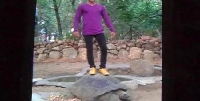 Man Atop Tortoise Arrested : Fazal Shaik faces jail after standing on Galapagos tortoise for Facebook likes