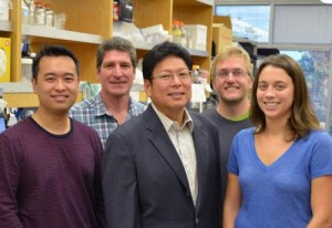 Researchers Find More DNA and Extra Copies of Disease Gene in Alzheimer's Brain Cells