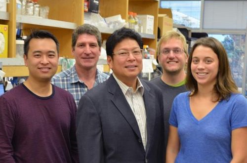 Researchers Find More DNA and Extra Copies of Disease Gene in Alzheimer’s Brain Cells Researchers Find More DNA and Extra Copies of Disease Gene in Alzheimer’s Brain Cells