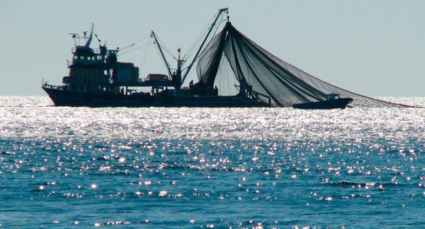 Scientists propose high seas fishing moratorium