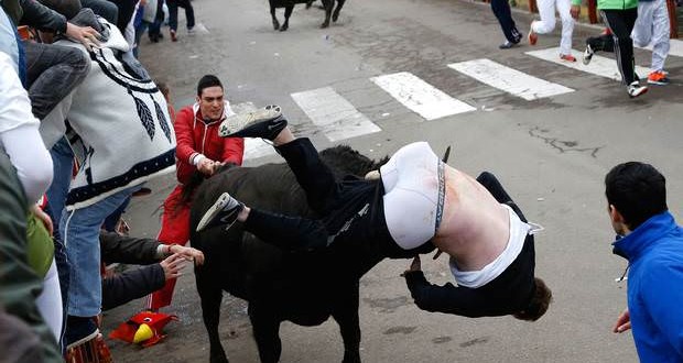 Student Gored In Spain Fighting bull leaves American student Ben Milley with 16-inch wound Student Gored In Spain Fighting bull leaves American student Ben Milley with 16-inch wound