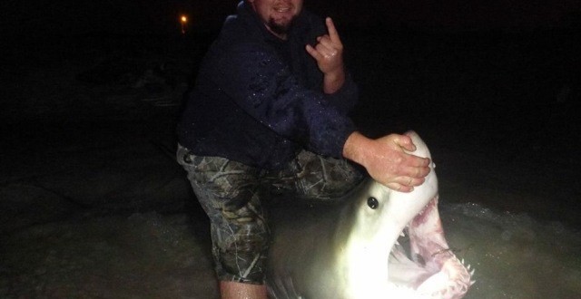 10 Foot Shark Caught off Panama City Beach (Photo)