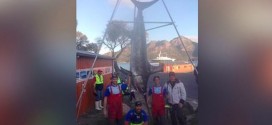 580 Pound Swordfish : Tasmanian Fishermen Catch Swordfish After Six-Hour Battle (Video)