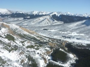Federal funding brings bison back to Banff National Park