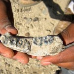 Jawbone found : 2.8 Million-Year Ethiopian Fossil Redraws Human Evolution