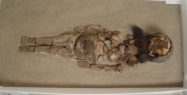 Researchers Try to Save Ancient Mummies from Changing into Black Ooze