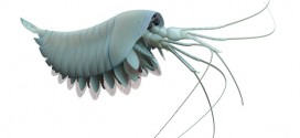 Researchers Unearth Ancient Lobster-Like Creature