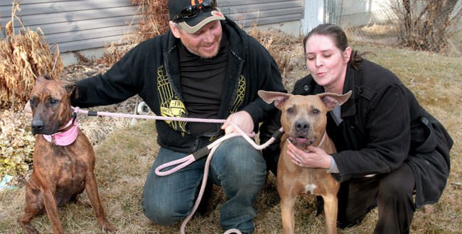 Roasted chicken lures dog missing Three months