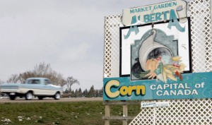 Town of Taber, Alberta moves to ban swearing (Video)