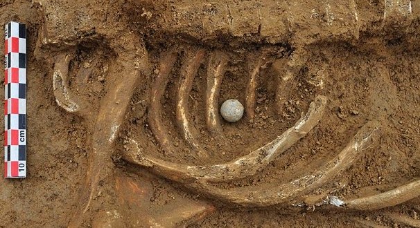 200 Year Old Skeleton Found : Archaeologist identified man who fought with British troops as Friedrich Brandt