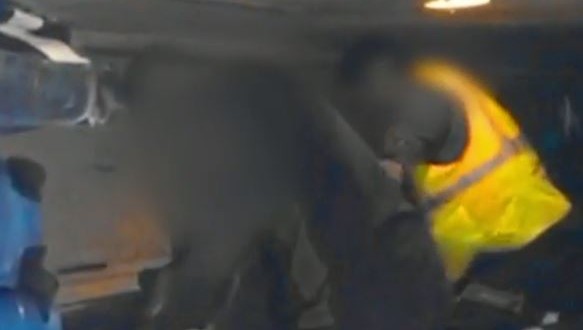 Baggage handlers caught stealing from passenger bags (Video)