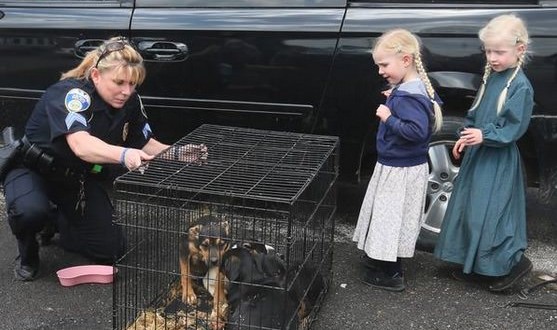 Police pull over van with caged puppies on roof, driver unaware it’s wrong (Video)