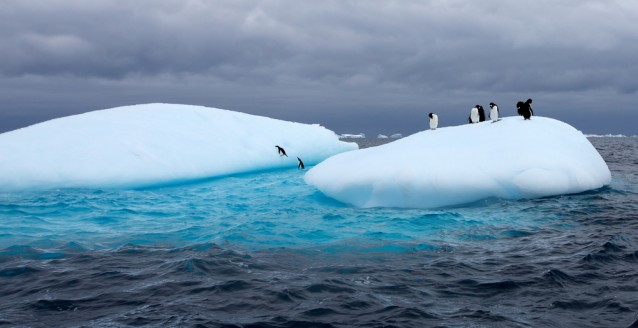 Researchers Recorded Hottest Day In Antarctica Last Week