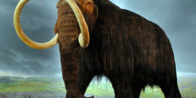 Researchers fully decode a pair of mammoth DNA genomes