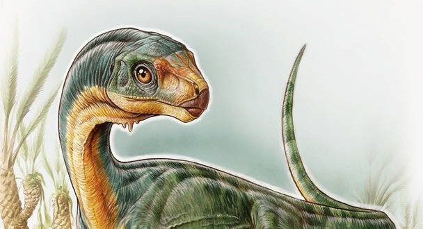 Researchers unearth fossils of 'jigsaw puzzle' dinosaur Chilesaurus