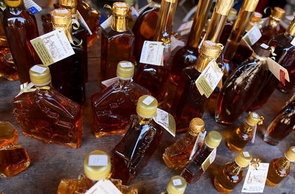 Scientists say maple syrup could help fight bacterial infections
