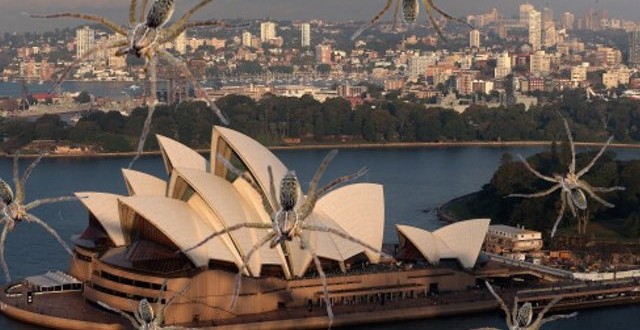 Researchers confirm it’s totally normal for it to rain spiders in Australia