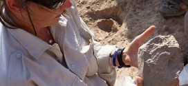 Researchers discover the world's oldest stone tools