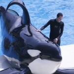 SeaWorld San Diego Cited For Safety Violations