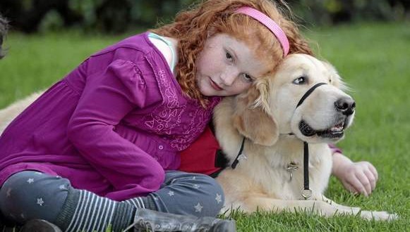Service dogs that sniff out seizures give kids more normal lives, Report