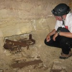 8 Million Mummified Dogs, Other Animals Unearthed In Catacombs at Egypt site