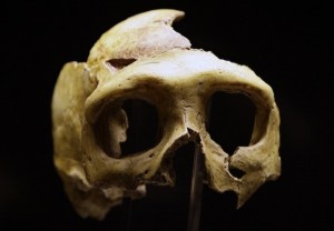 Ancient European had close Neanderthal ancestor, Says study