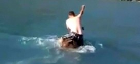 BC Conservation Office investigates boater's wild ride on moose (Video)