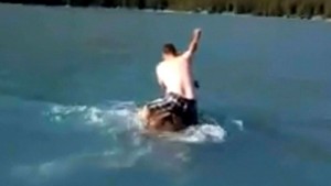 BC Conservation Office investigates boater's wild ride on moose (Video)