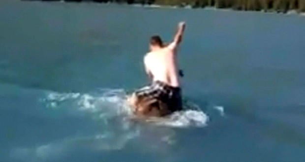 BC Conservation Office investigates boater’s wild ride on moose (Video)