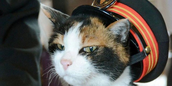 Japan says goodbye to Tama, the cat stationmaster (Video)