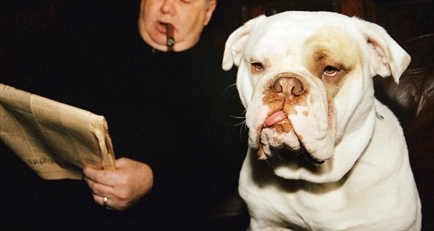 Kyoto University : Dogs don't like people who are mean to their owners