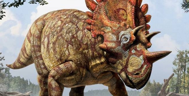 Hellboy dinosaur species discovered, Researchers say ‘Video’