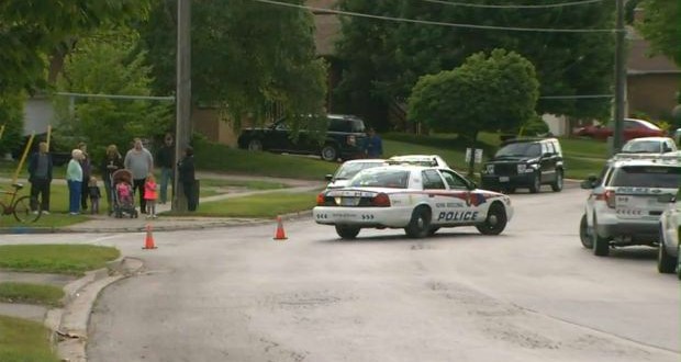 Police Kill black Bear in Newmarket Backyard (Video)