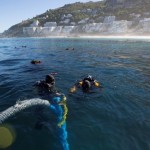 Wreck Of Slave Ship : South Africa discovery reveals slave ship artefacts