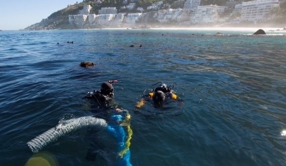 Wreck Of Slave Ship : South Africa discovery reveals slave ship artefacts